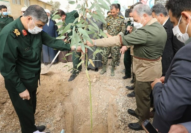 غرس 100 هزار اصله درخت توسط بسیج سازندگی در ایلام آغاز شد