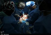 اعضای 72 بیمار مرگ مغزی در مشهد به بیماران نیازمند اهدا شد