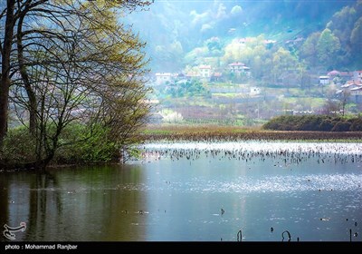 تالاب سوستان یکی از جاهای دیدنی لاهیجان است که در نزدیکی روستای سوستان، در پنج کیلومتری جنوب شرقی لاهیجان و ۴۹ کیلومتری جنوب شرقی رشت قرار دارد