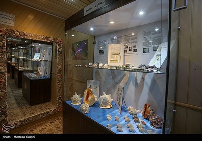 این مجموعه در پارک جنگلی ناژوان اصفهان در سالنی به مساحت ۳۰۰ متر مربع واقع شده است