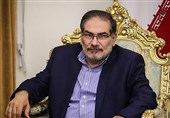 Iran to Stay in Vienna Talks to Reach A Strong Deal: Shamkhani