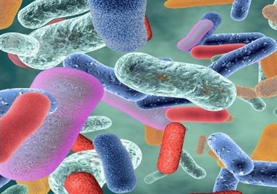 درمان موفق عفونت گوارشی 35بیمار با پیوند مدفوع/ ایران تنها کشور دارای مرکز پیوند در منطقه