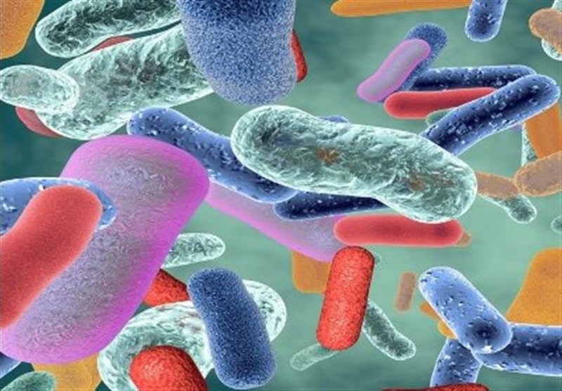 میکروب‌های روده بر ویژگی‌های شخصیتی انسان تأثیر دارند؟