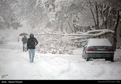 خسارت های ناشی از بارش شدید برف در سنندج