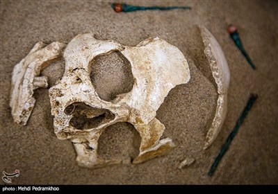 رونمایی از محتوای جدید موزه هفت‌تپه