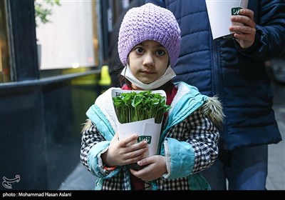 جشن نیمه شعبان در بلوار اندرزگو 