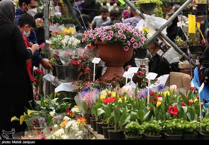 بازار گل و گیاه اصفهان در آستانه نوروز 1401 به روایت تصویر