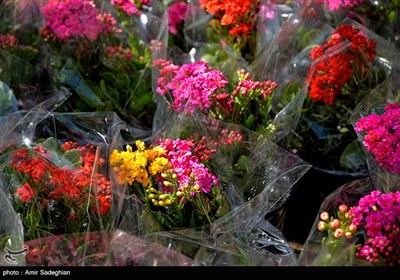 سوق الورود في شيراز خلال عيد النوروز