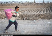 شناسایی 800 کودک کار در استان فارس/ سهم 80 درصدی غیرایرانی‌ها