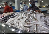 رئیس سازمان شیلات کشور: شرکت‌های فرآوری ماهی نقش مهمی در صادرات و ارزآوری ایفا می‌کنند