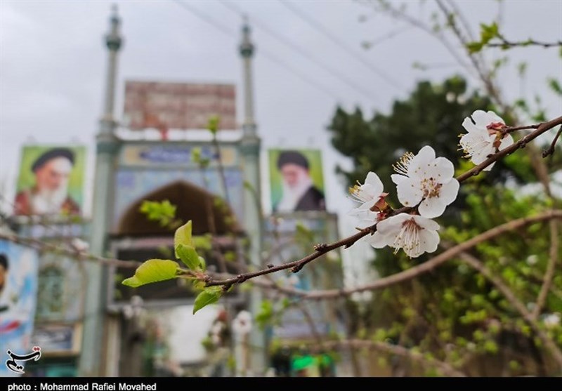بهار در شهر قم به روایت تصویر