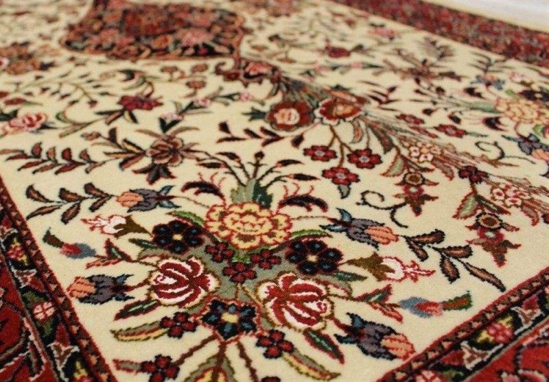 گرد فراموشی بر سرنوشت نخستین صنعت فرش بافی در ایران/ بی‌مهری‌ مسئولان شامل فرش بیجار هم شد