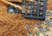 6 میلیون تن گندم از کشاورزان کشور خریداری شد