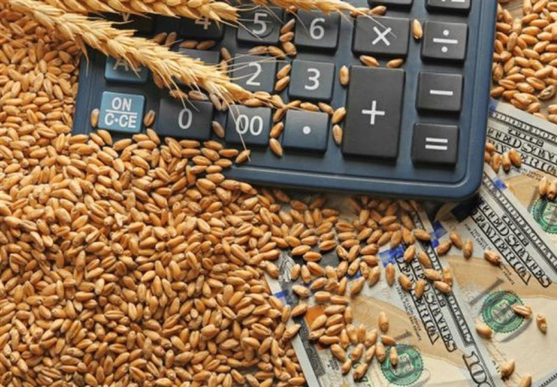 24 هزار تن گندم از کشاورزان خرمشهری خریداری شد