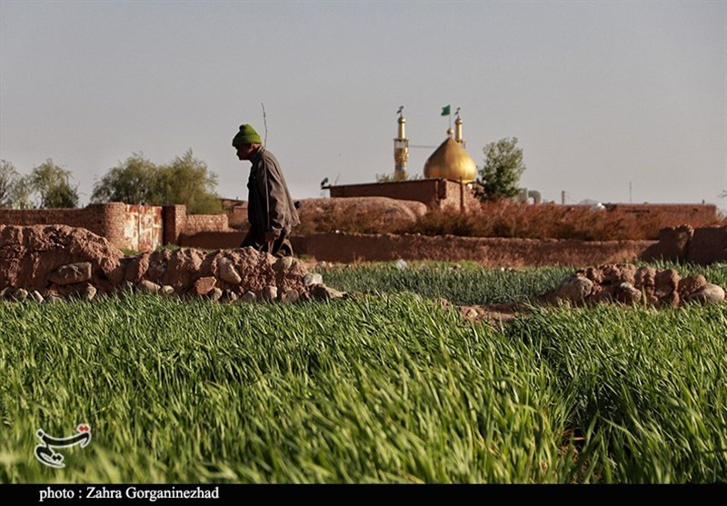 طبیعت بهاری روستای &quot;ده‌زیار&quot; کرمان به روایت تصویر