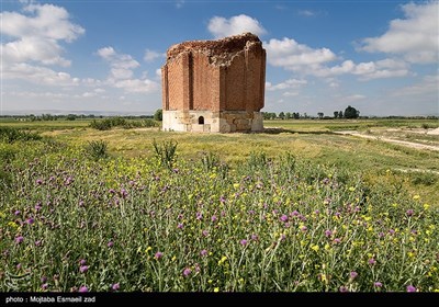 برج شاطر که با نام گنبد شاطر نیز شناخته می‌شود، از جاهای دیدنی اردبیل در فاصله‌ ۶ کیلومتری شهر و در روستایی به نام صومعه است