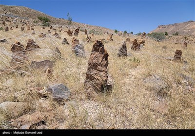 بقاع متبرکه و گورستان تاریخی هفت گنبدان عنبران 