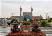 رئیس شورای روحانیت اهل سنت بوشهر جنایت در حرم رضوی را محکوم کرد