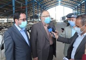 استاندار قزوین: مازوت‌سوزی در نیروگاه برق شهیدرجایی کاهش یافت
