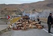 خسارت سنگین سیلاب به 5 سایت پرورش ماهی در مشگین‌شهر/ 850 رأس گوسفند در سیل تلف شد