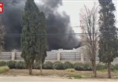 آتش سوزی مهیب در باغ بهائی‌های «عکا» در اسرائیل+ فیلم