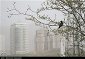 هواشناسی ایران 1401/01/23؛ نوار غربی کشور درگیر گردوخاک/ هشدار سازمان هواشناسی برای تمام گروه‌های سنی