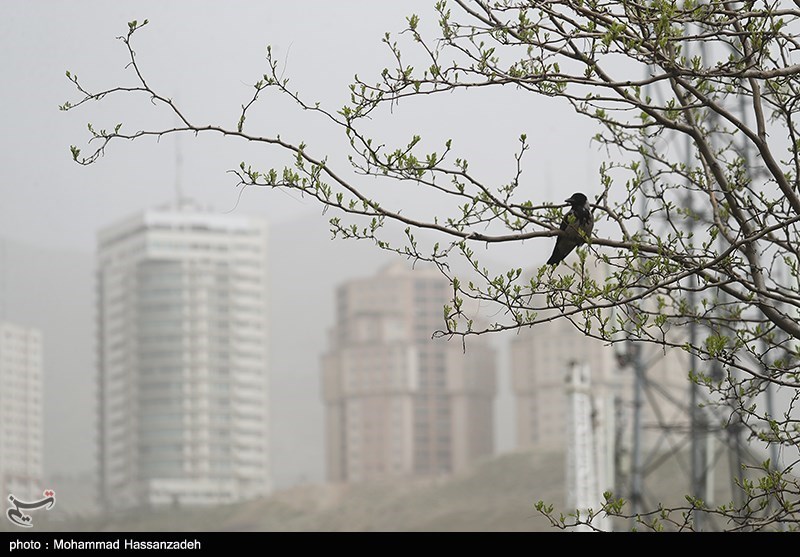 وضعیت هوای تهران 1402/04/14؛ تداوم تنفس هوای "آلوده"