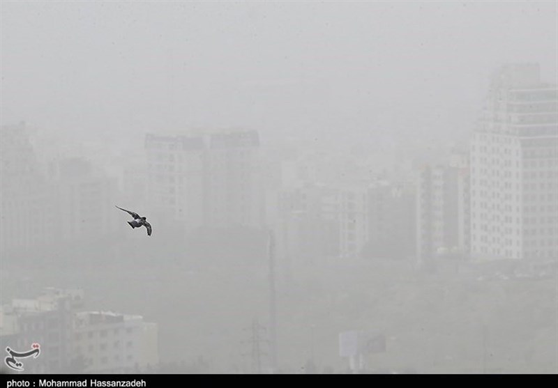 ایران در محاصره 270 میلیون هکتار کانون گرد و خاک/ بیشتر آلو‌دگی‌ها از عراق و سوریه شروع می‌شود