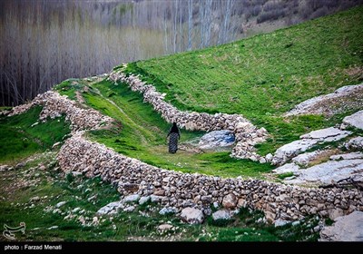 طبیعت بهاری کرمانشاه