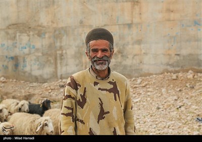 آغاز کوچ عشایر - خوزستان