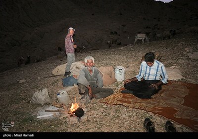 آغاز کوچ عشایر - خوزستان