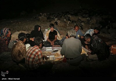 آغاز کوچ عشایر - خوزستان