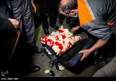 بازدید معاون دادستان کل از گمرک فرودگاه امام خمینی(ره)