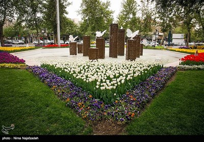 رنگین کمان گل‌های لاله در مشهد