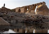 گزارش|روایت تسنیم از 10 سال خشکسالی در لرستان/ 10221 چشمه در برهوت آب/ باغات 50 ساله خشک می‌شود+ تصاویر