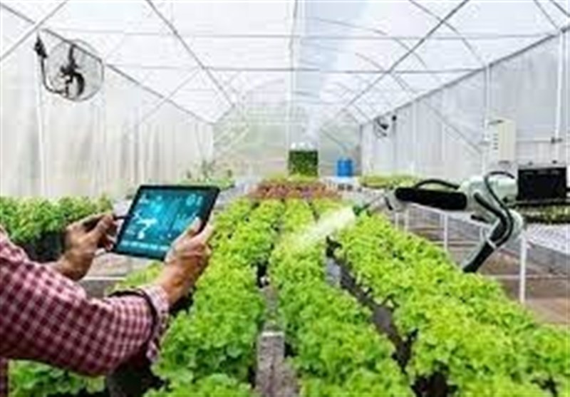 روزنه‌های امید با اجرای طرح &quot; هوشمندسازی اطلاعات بهره‌برداران&quot; / صادرات محصولات کشاورزی رونق می‌گیرد