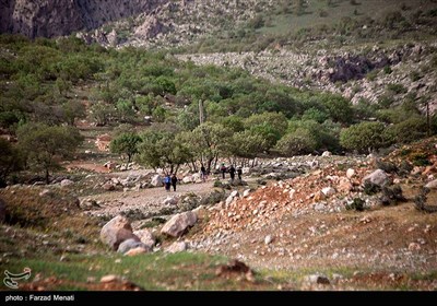 منطقه حفاظت شده بیستون در خطر نابودی - کرمانشاه