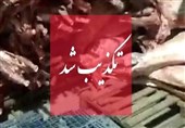 تکذیب واردات گوشت حرام به کشور/ سازمان دامپزشکی: مردم گوشت را تنها با آرم دامپزشکی بخرند