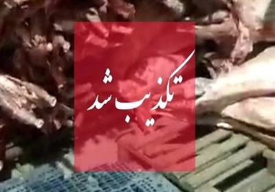 تکذیب واردات گوشت حرام به کشور/ سازمان دامپزشکی: مردم گوشت را تنها با آرم دامپزشکی بخرند 