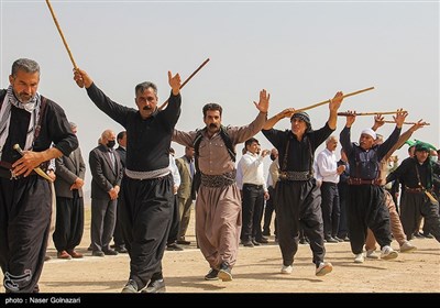 مراسم سنتی چمر - ایلام- عکس استانها تسنیم