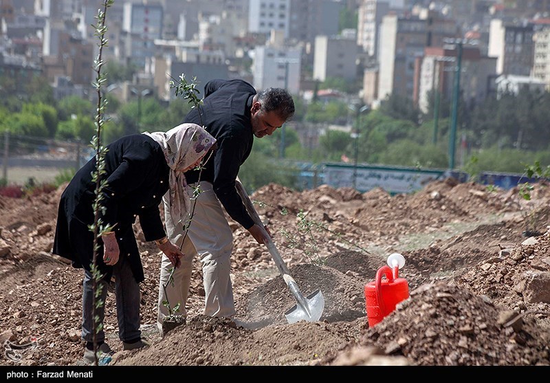 روز درختکاری , شهدای مدافع حرم , شهدای مدافع سلامت ,