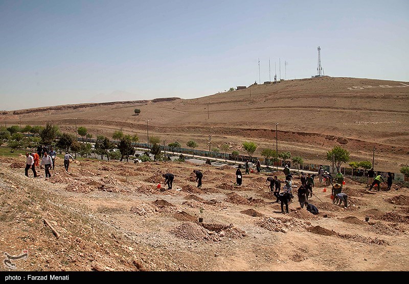 روز درختکاری , شهدای مدافع حرم , شهدای مدافع سلامت ,