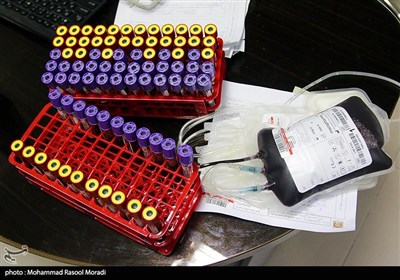  ۱۱۷۵۰۰ نفر در کشور برای بار اول خون اهدا کردند/ کردستانی‌ها در صدر جدول اهدای خون بانوان 