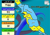 50 درصد شهرستان‌های استان بوشهر در وضعیت آبی قرار گرفت