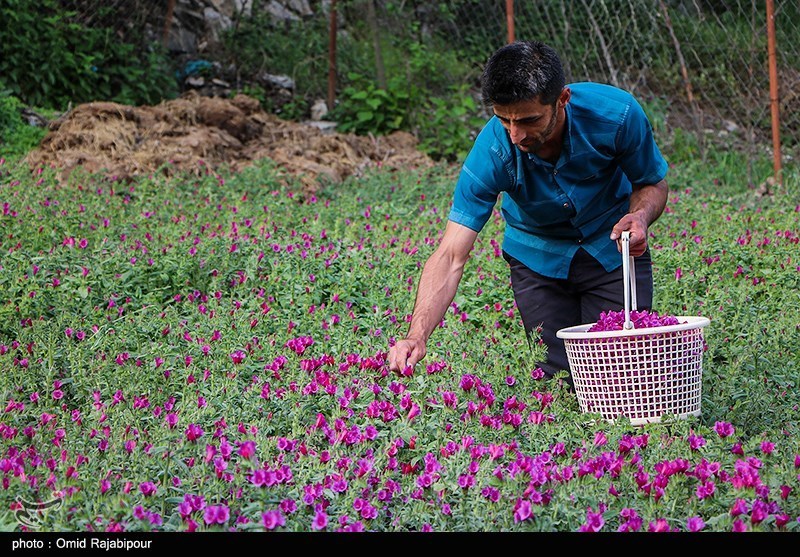 https://newsmedia.tasnimnews.com/Tasnim/Uploaded/Image/1401/02/04/1401020419452753425201004.jpg