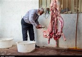 گزارش| روایتی عجیب از افزایش قیمت گوشت در کرمانشاه/ افزایش ذبح غیرمجاز دام در سطح شهر
