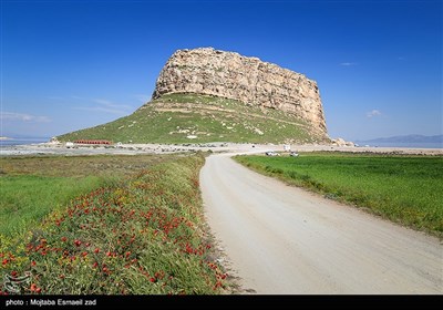 طبیعت بهاری منطقه تاریخی کاظم داشی ارومیه