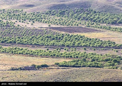 طبیعت بهاری منطقه تاریخی کاظم داشی ارومیه