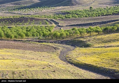 طبیعت بهاری منطقه تاریخی کاظم داشی ارومیه