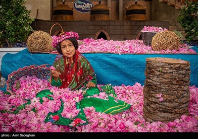جشنواره گل و گلاب میمند - فارس 